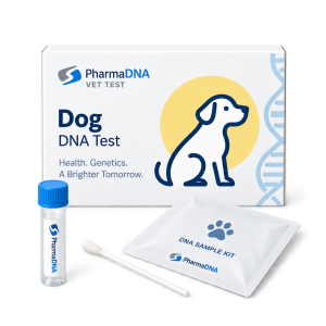 Dog DNA testing illustration